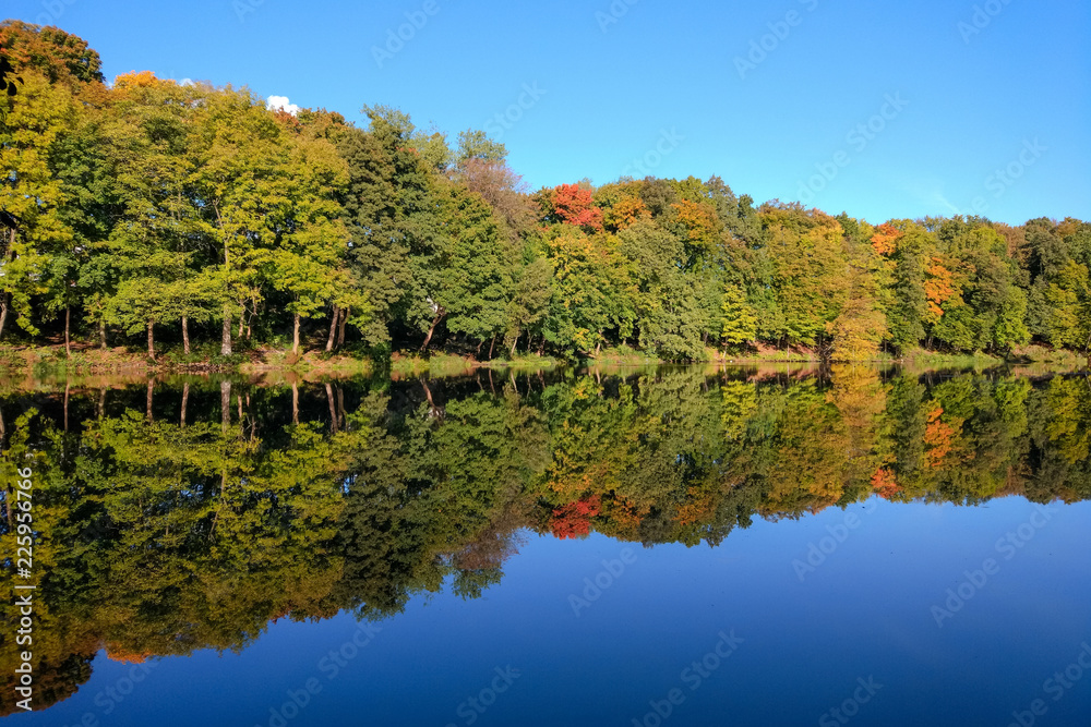 Fototapeta premium reflection of the autumn forest in the calm mirror water of the lake