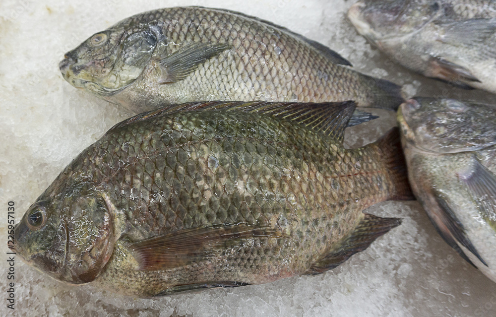 Fresh fish raw on ice sold in supermarkets.Buy for cooking. food concept. Top view, copy space.. Fresh fish raw on ice sold in supermarkets.Buy for cooking. food concept. Top view, copy space..