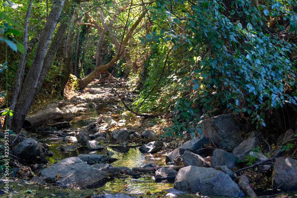 Gilbert Creek after reclamation project in Grant's Pass, Oregon Gilbert Creek after reclamation project in Grant's Pass, Oregon