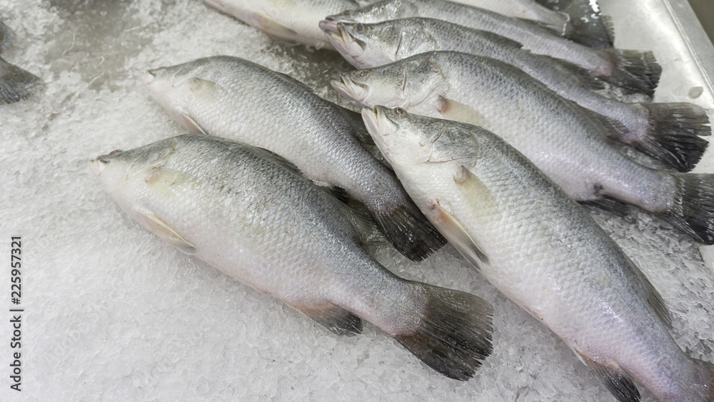 Fresh fish Snapper raw on ice sold in supermarkets. Seafood in the shop window. Buy for cooking. food concept. Top view, copy space.