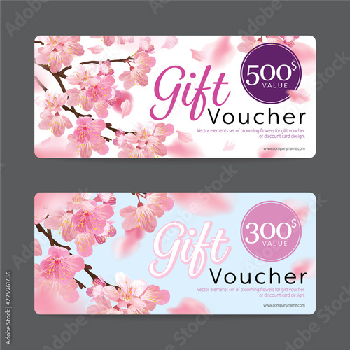 Gift voucher card template value 500$ and 300$ with elements set of blooming beautiful cherry blossoms or sakura flowers background for business, flower shop, spa, hotel resort.