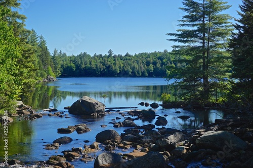 Fototapeta Naklejka Na Ścianę i Meble -  Adirondack Park, New York, USA: A view of Sagamore Lake through a gap in the trees.
