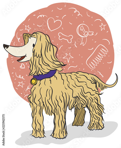 Elegant Afghan Hound with Doodles around it, Vector Illustration photo