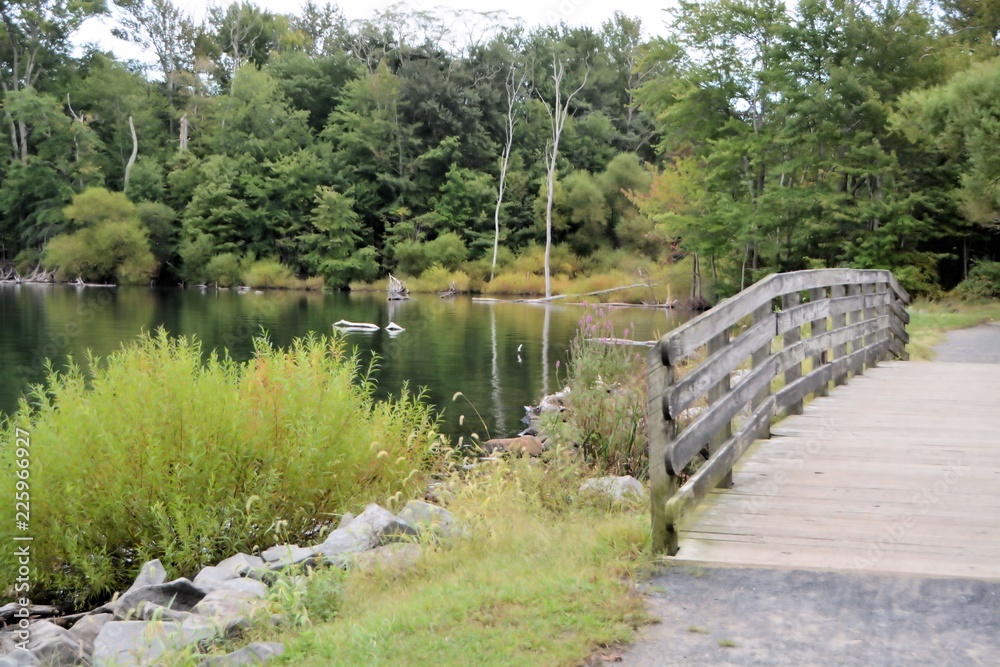 wooden bridge in the park wooden bridge in the park