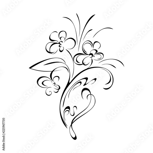 floral pattern with curls in black lines on white background