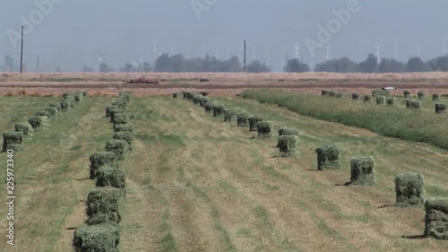 Hay bales on field in California, USA. photo