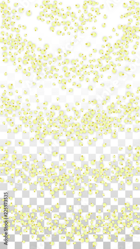 Vector Realistic Yellow Flowers Falling on Transparent Background. Spring Romantic Flowers Illustration. Flying Petals. Sakura Spa Design. Blossom Confetti. Design Elements for Wedding Decoration.