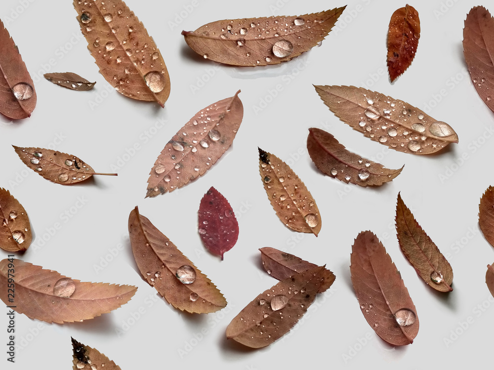 Obraz premium Full-color seamless texture of autumn leaves with dew drops