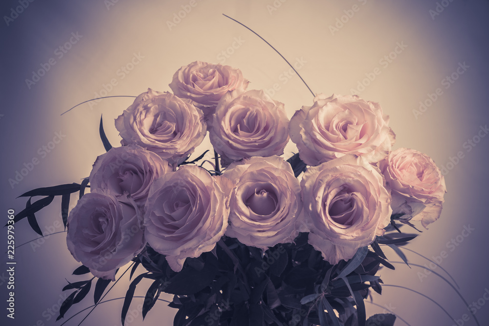 bouquet de roses de couleur blanche et rose Stock Photo | Adobe Stock