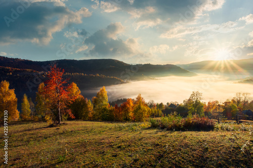 valley full of morning fog in mountainous rural area. gougers countryside with trees in fall colors.
