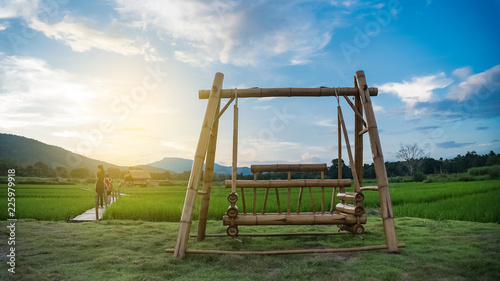 Hanging chairs in a field in Chiang Mai, Thailand.