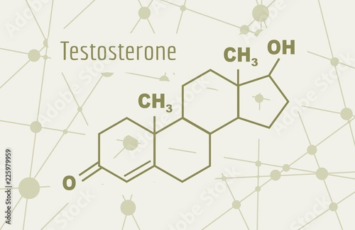 Chemical molecular formula hormone testosterone. Infographics illustration.