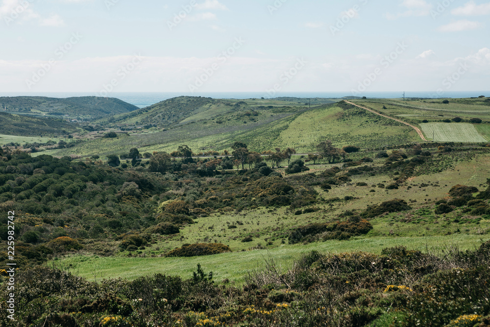 A beautiful natural landscape with green trees on a hilly terrain against a blue sky on a sunny summer day in Portugal.