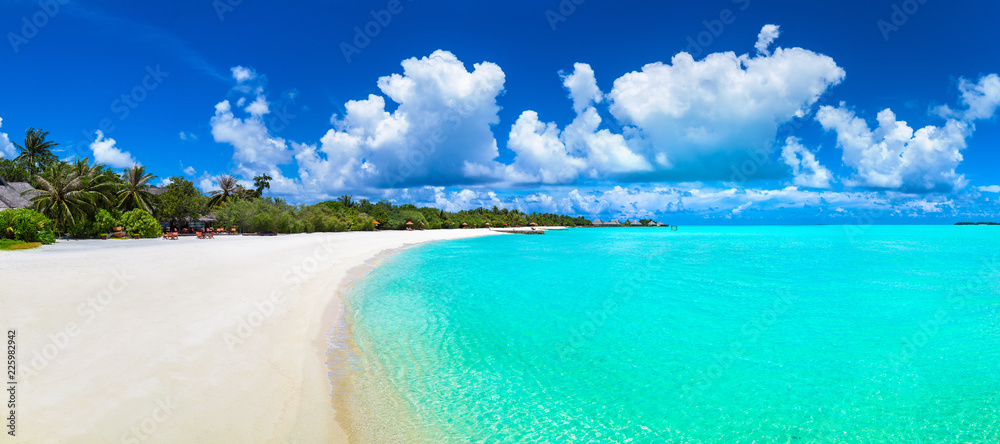 Tropical beach in the Maldives - obrazy, fototapety, plakaty 