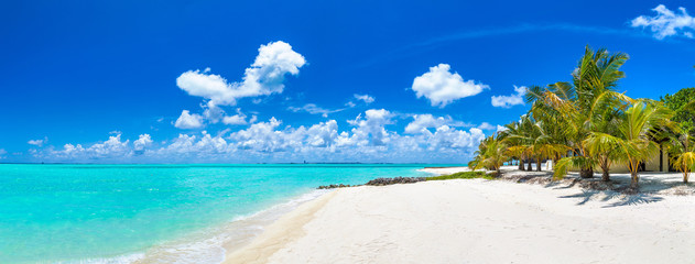 Deken met foto Palmboom Malediven strand palmbomen kristalhelder water  © Sergii Figurnyi