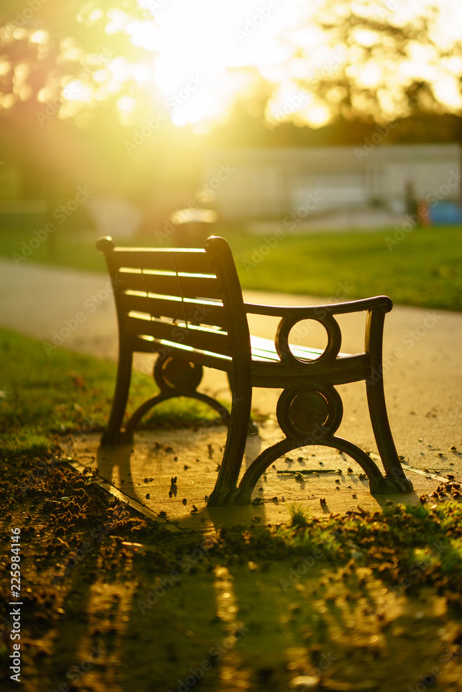 Beautiful autumn park with paths and benches Beautiful autumn park with paths and benches