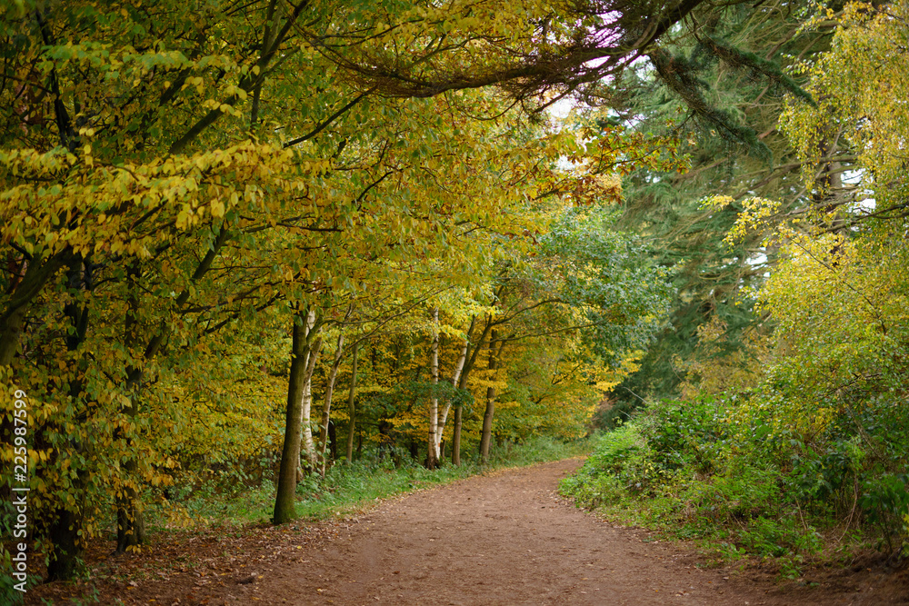 Nature: Autumn landscape