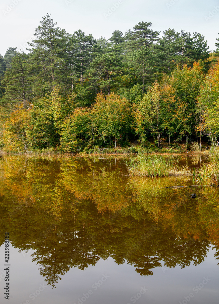 Autumn Image reflection from lake in Yalova Autumn Image reflection from lake in Yalova