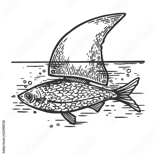 Fish with shark artificial fin sea animal engraving vector illustration. Scratch board style imitation. Black and white hand drawn image.