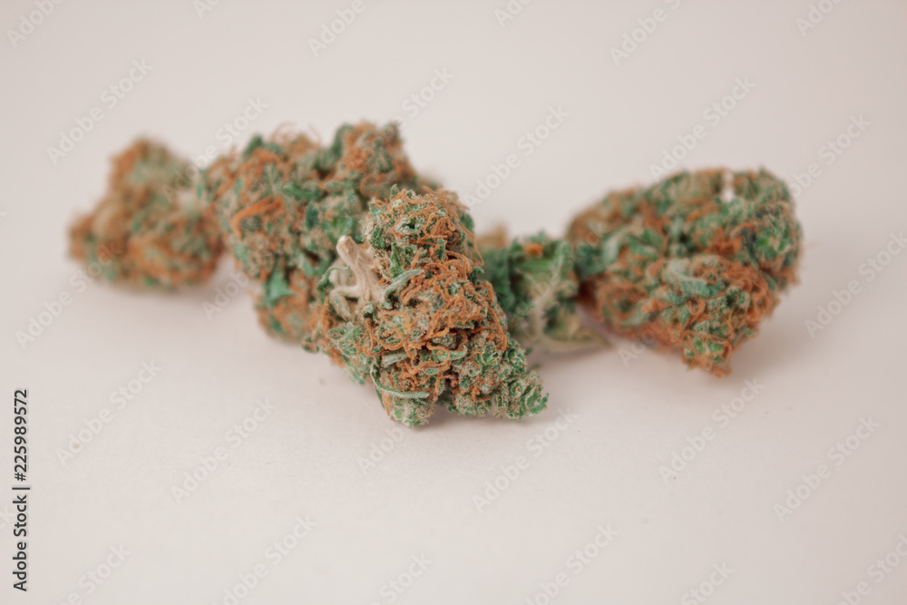 Close up of some large fluffy vibrant marijuana buds with a white background.