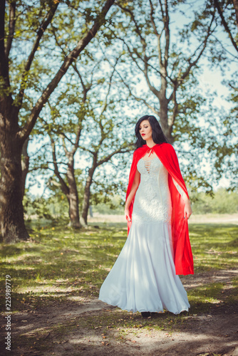 Halloween party concept, mysterious girl in black lace handmade dress and red hood. Beautiful young woman. Inspiration for halloween celebration, ideas and simple nice detail   photo