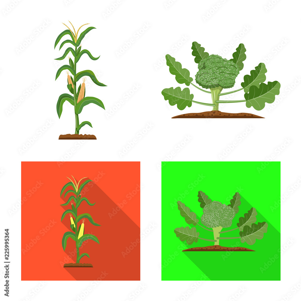 Isolated object of greenhouse and plant sign. Set of greenhouse and garden stock symbol for web.