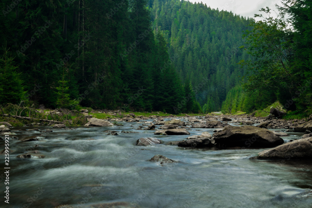 Fototapeta premium Beautiful mountain river, shrine, spruce forest, large stones at a high end