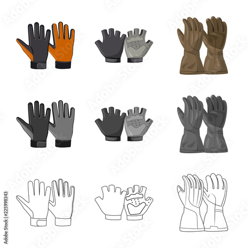 Vector illustration of glove and winter symbol. Set of glove and equipment stock vector illustration.