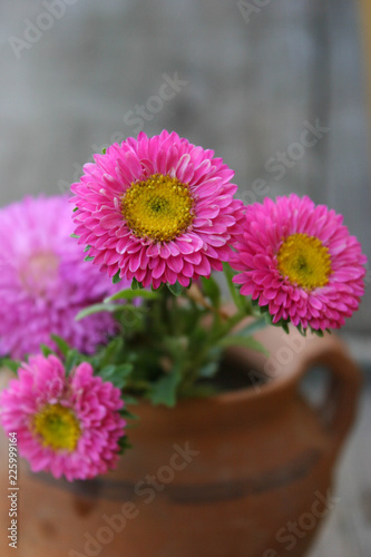 Pink  flowers of Aster. Bouquet of flowers. Bouquet of Asters on wooden background. 
