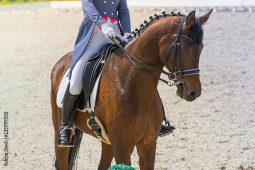 Dressage competitions
