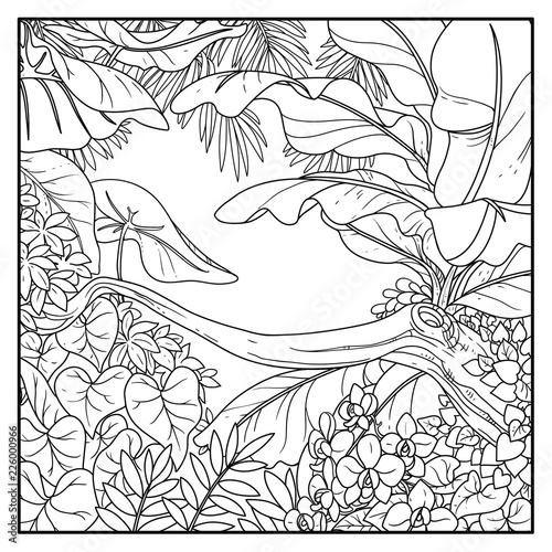 Jungle with with orchid flowers black contour line drawing for coloring on a white background
