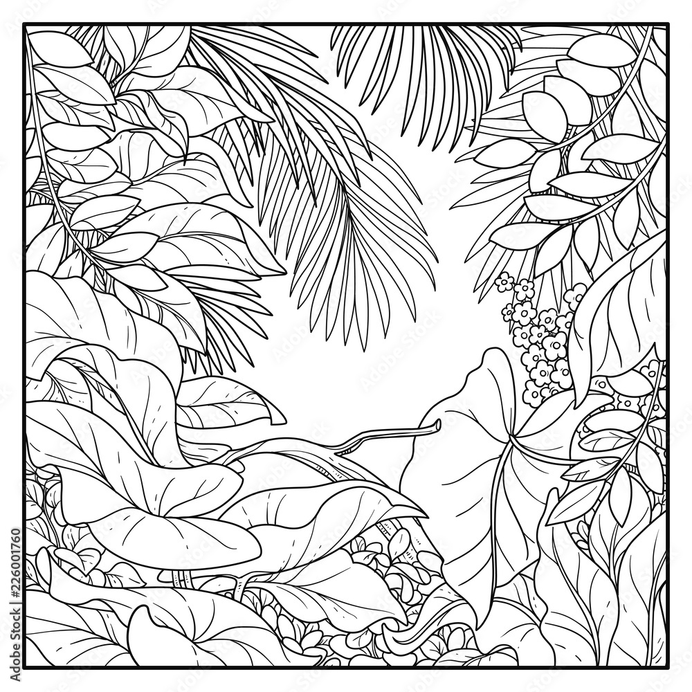 Jungle Background Coloring Pages