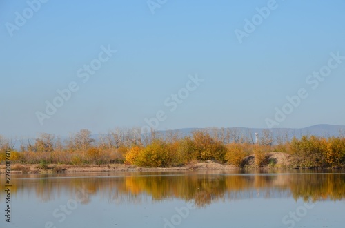 A riverside with clear sky and bushes