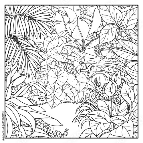 Jungle glade in thickets black contour line drawing for coloring on a white background
