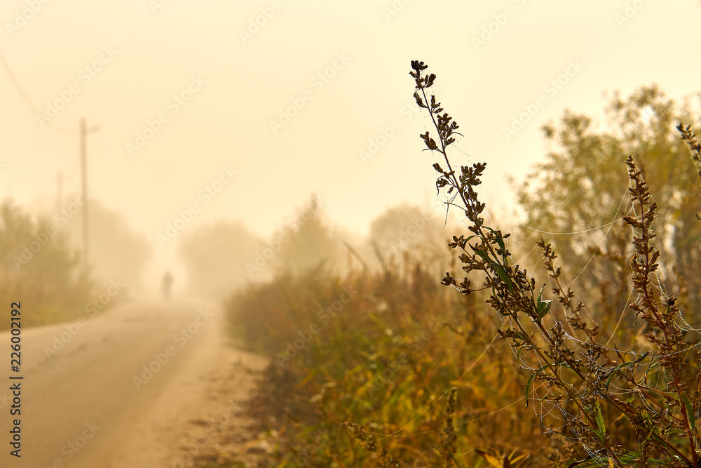 Obraz premium Autumn misty morning of September.