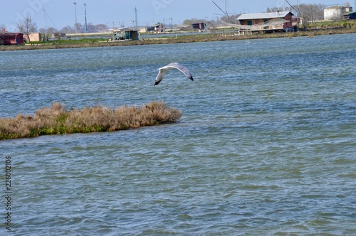 Tutti a pesca