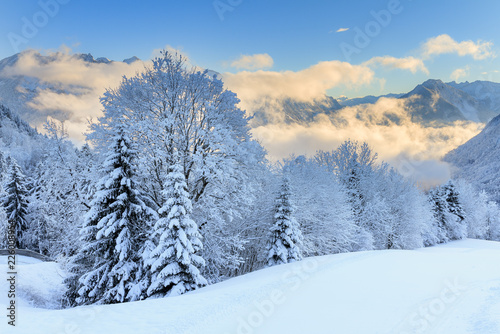 Beautiful morning sunrise view of fresh powder snow in the mountains of the Brandnertal in the Alps in Vorarlberg, Austria, in winter © dennisvdwater