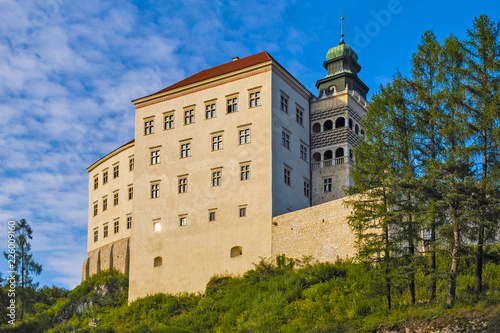 Pieskowa Skala, Poland - Historic castle Pieskowa Skala by the Pradnik river in the Ojcowski National Park photo