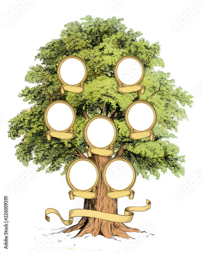 Family Tree template vintage illustration. High resolution print. 