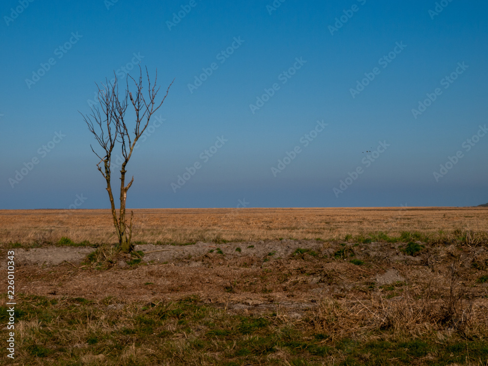 Holland Waddenzee Holland Waddenzee