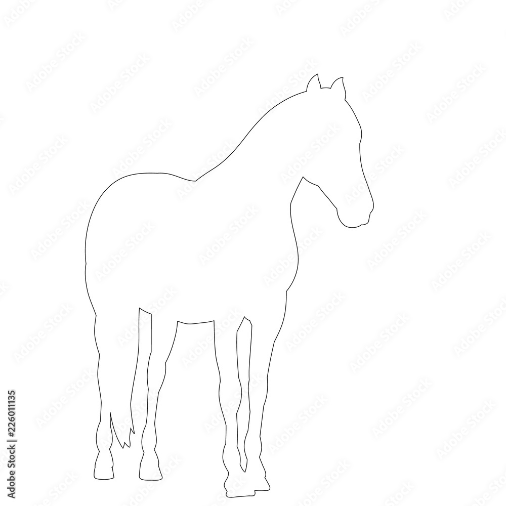 white background, outline, simple sketch of a horse