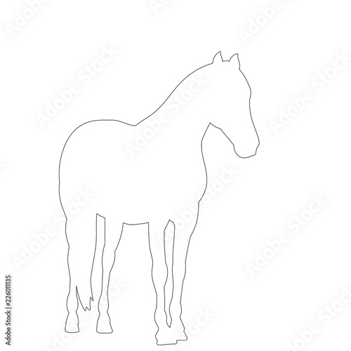 white background  outline  simple sketch of a horse