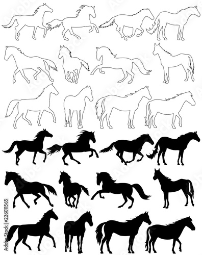 white background, black silhouette horse, set