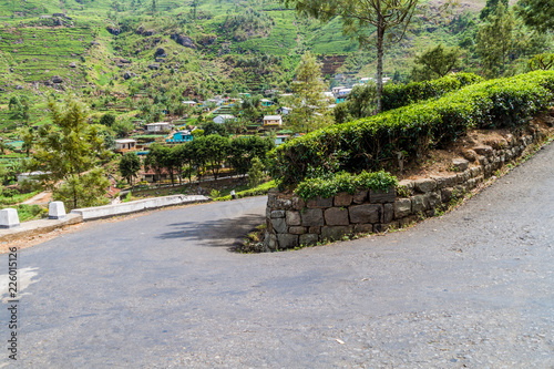 Winding road  tea plantations and a small village in mountains near Haputale  Sri Lanka