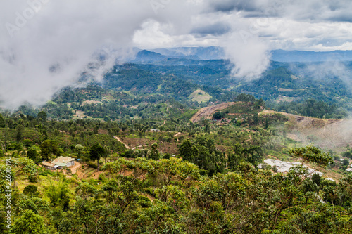 View of a landscape near Haputale  Sri Lanka