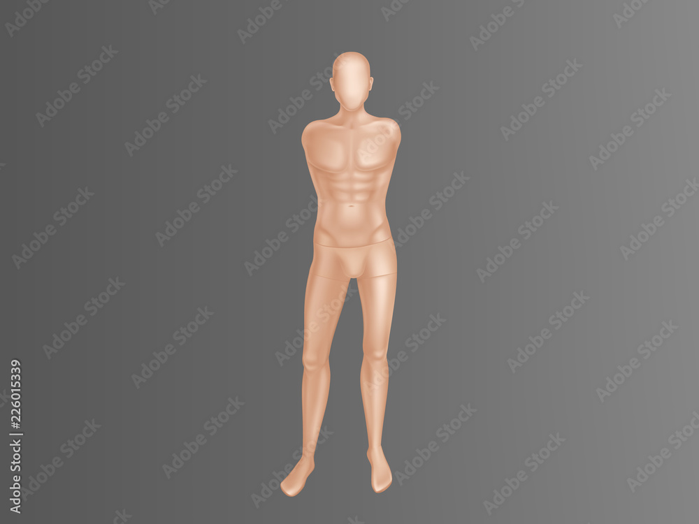 Vector 3d realistic male mannequin - full body without hands. Human figure with muscles for training, athlete equipment. Naked doll, manikin for showcase of boutique, clothing store. Vector 3d realistic male mannequin - full body without hands. Human figure with muscles for training, athlete equipment. Naked doll, manikin for showcase of boutique, clothing store.