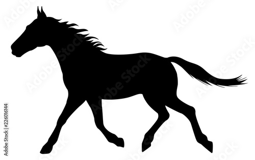 Vector illustration silhouette of a running horse