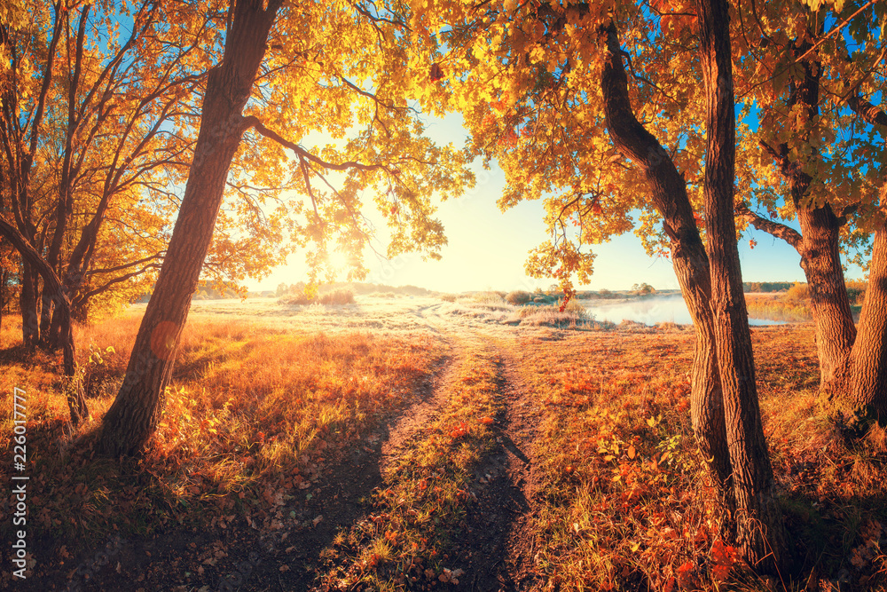 Fototapeta Jesienny krajobraz