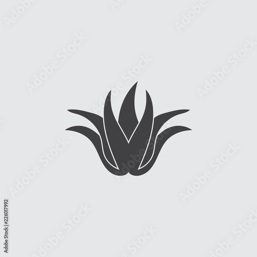 Aloe vera icon in balck on a gray background. Vector illustration