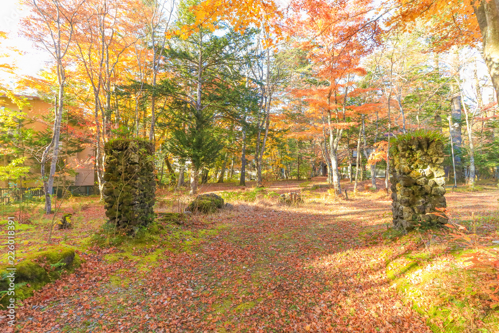 Karuizawa in Autumn ,Karuizawa is a mountain resort town and a shopping street  of Nagano Prefecture, Japan.